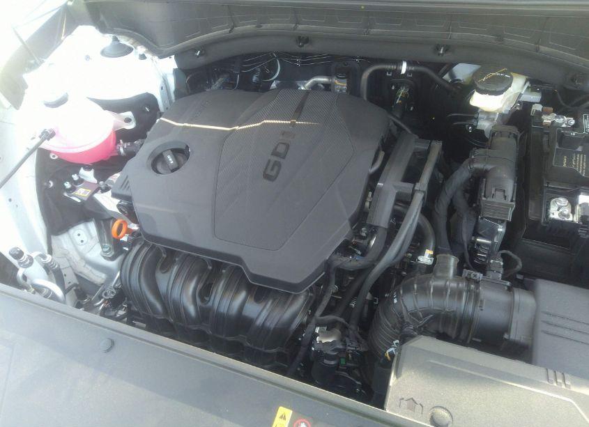 Photo 10 of 2024 Kia Sorento S (VIN 5XYRL4JC6RG281162)