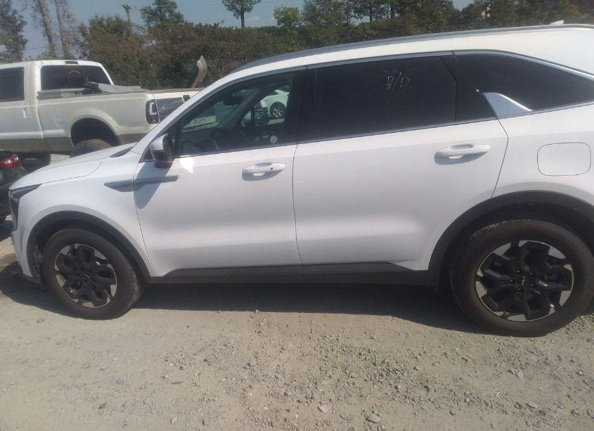 Photo 14 of 2024 Kia Sorento S (VIN 5XYRL4JC6RG281162)