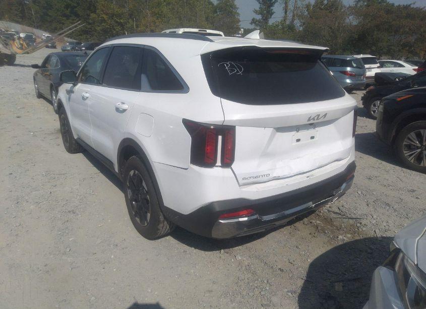 Photo 3 of 2024 Kia Sorento S (VIN 5XYRL4JC6RG281162)