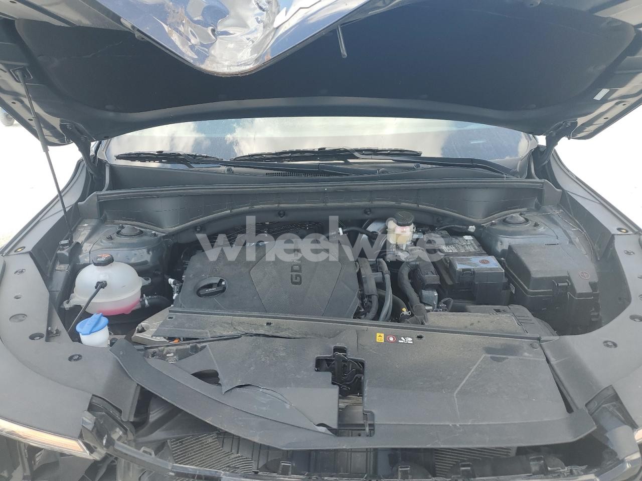 Photo 12 of 2025 KIA SORENTO S (VIN 5XYRL4JC9SG338606)