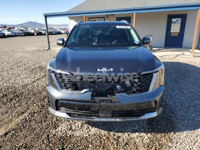 Photo 10 of 2024 KIA SORENTO S (VIN 5XYRL4JCXRG284758)
