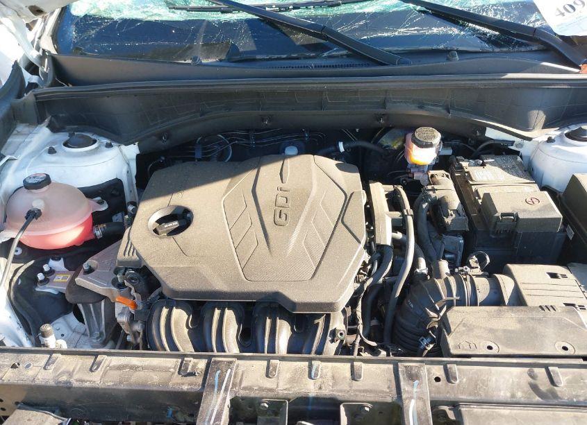 Photo 10 of 2021 Kia Sorento S (VIN 5XYRL4LC1MG018633)