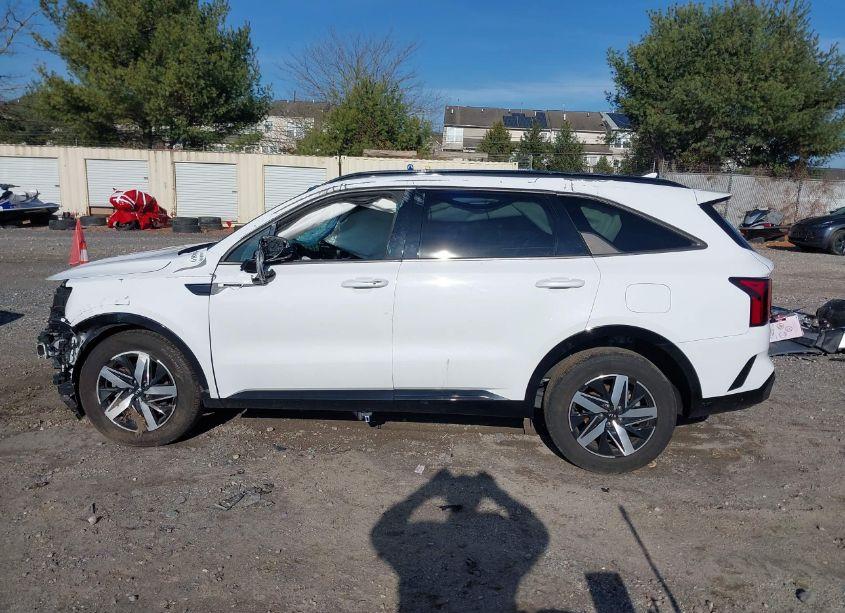 Photo 13 of 2021 Kia Sorento S (VIN 5XYRL4LC1MG018633)