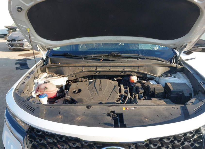 Photo 10 of 2021 Kia Sorento S (VIN 5XYRL4LC2MG050703)