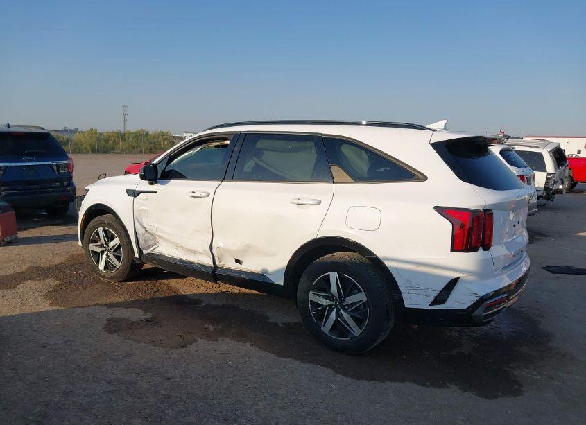Photo 3 of 2021 Kia Sorento S (VIN 5XYRL4LC2MG050703)