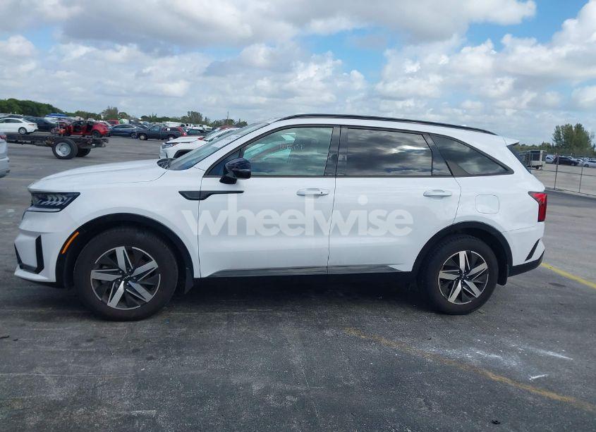 Photo 14 of 2022 Kia Sorento S (VIN 5XYRL4LC2NG157297)
