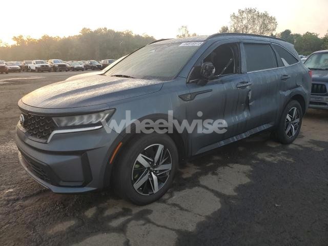Photo 13 of 2021 KIA SORENTO S (VIN 5XYRL4LC3MG017614)