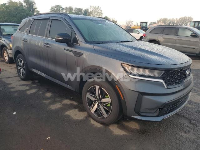 Photo 7 of 2021 KIA SORENTO S (VIN 5XYRL4LC3MG017614)