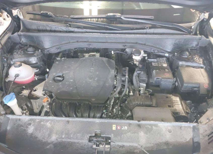 Photo 10 of 2022 Kia Sorento S (VIN 5XYRL4LC3NG134790)