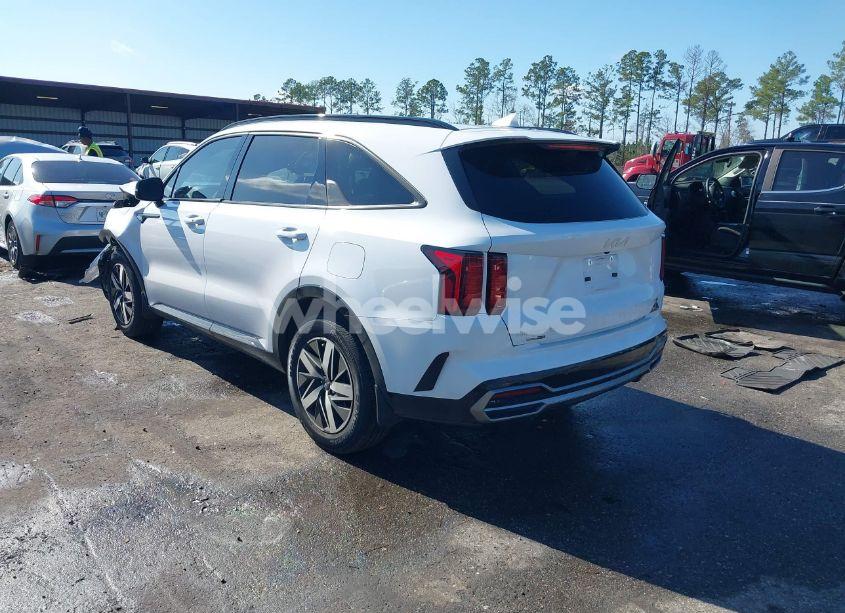 Photo 3 of 2023 Kia Sorento S (VIN 5XYRL4LC6PG218962)