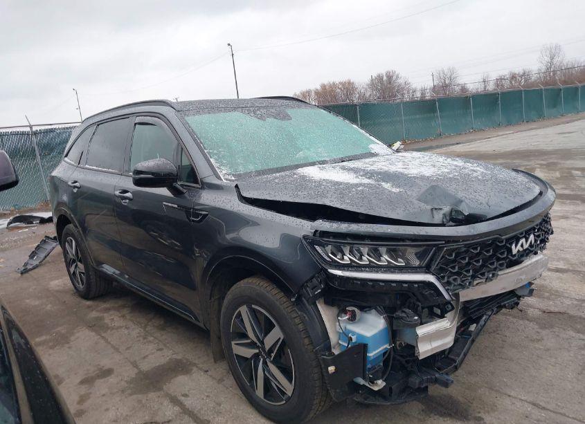 Photo 14 of 2022 Kia Sorento S (VIN 5XYRL4LC7NG130337)