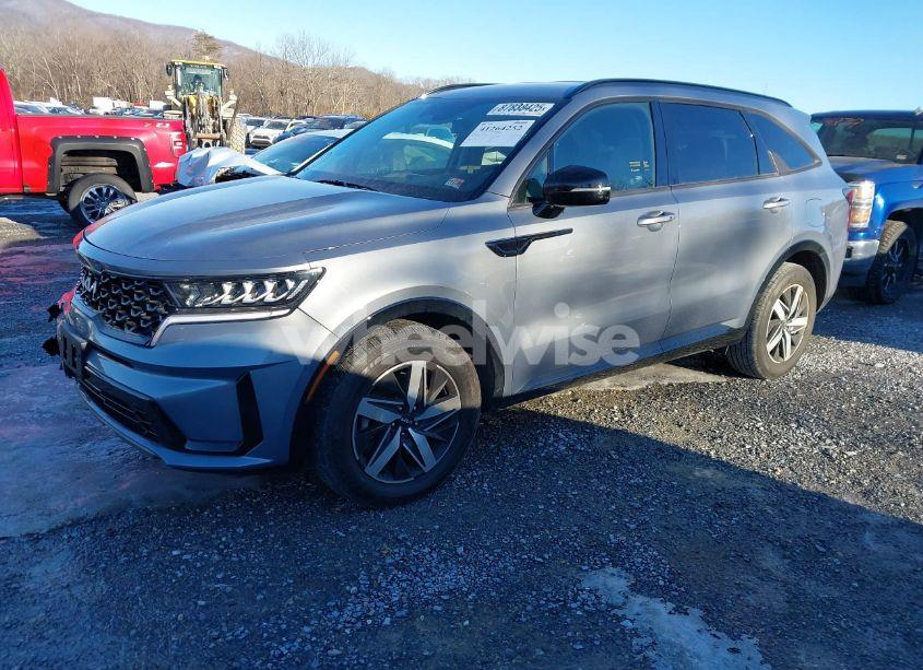 Photo 2 of 2022 Kia Sorento S (VIN 5XYRL4LC8NG142254)