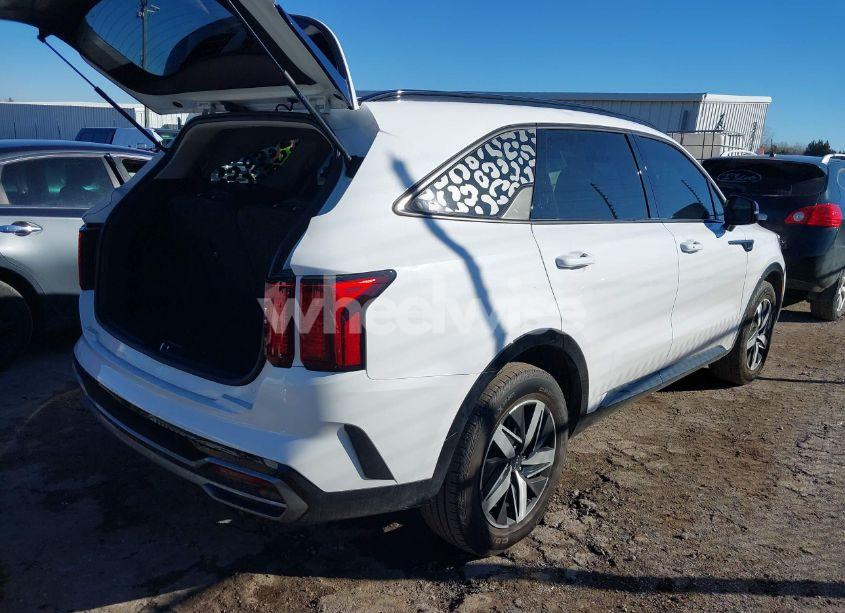 Photo 4 of 2023 Kia Sorento S (VIN 5XYRL4LC9PG215568)