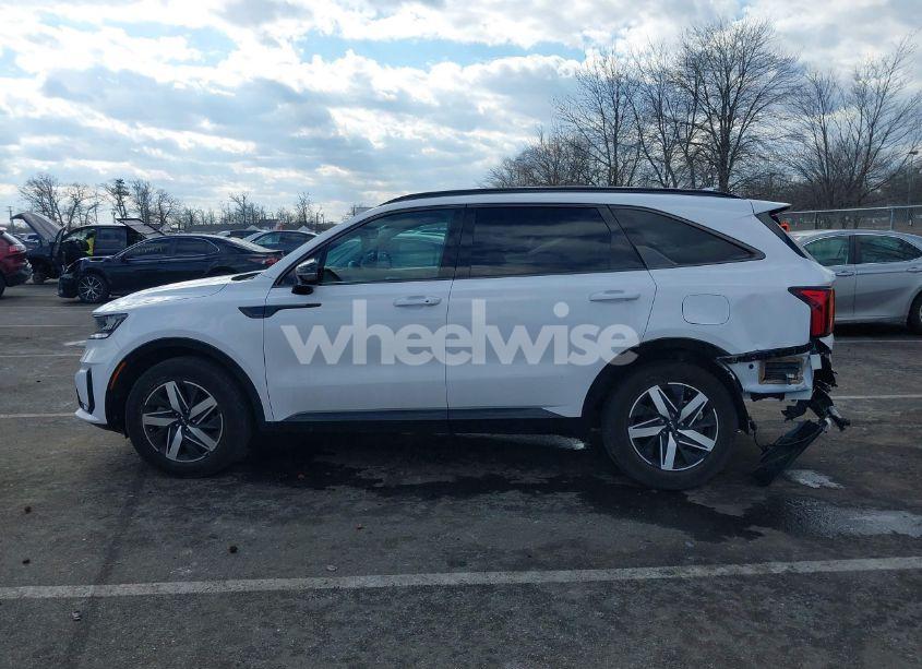 Photo 14 of 2023 Kia Sorento S (VIN 5XYRL4LCXPG249082)