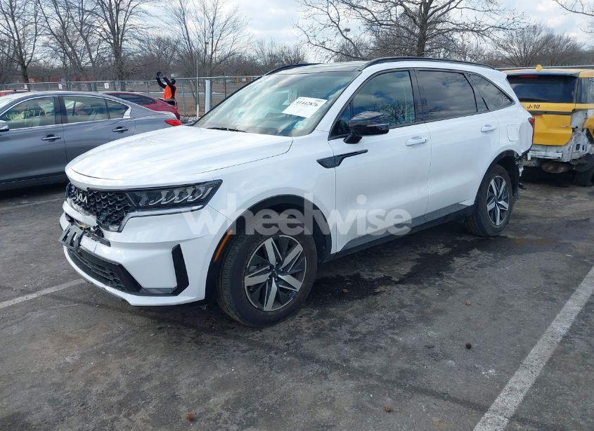 Photo 2 of 2023 Kia Sorento S (VIN 5XYRL4LCXPG249082)
