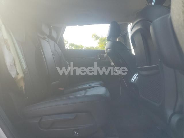 Photo 12 of 2024 KIA SORENTO S (VIN 5XYRLDJC1RG272465)