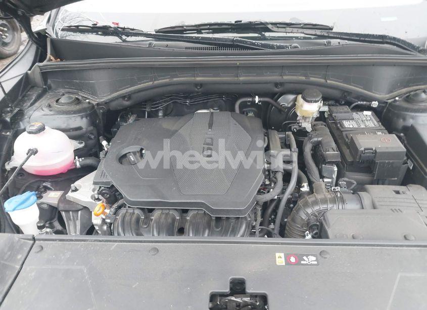 Photo 10 of 2024 Kia Sorento S (VIN 5XYRLDJC1RG275589)