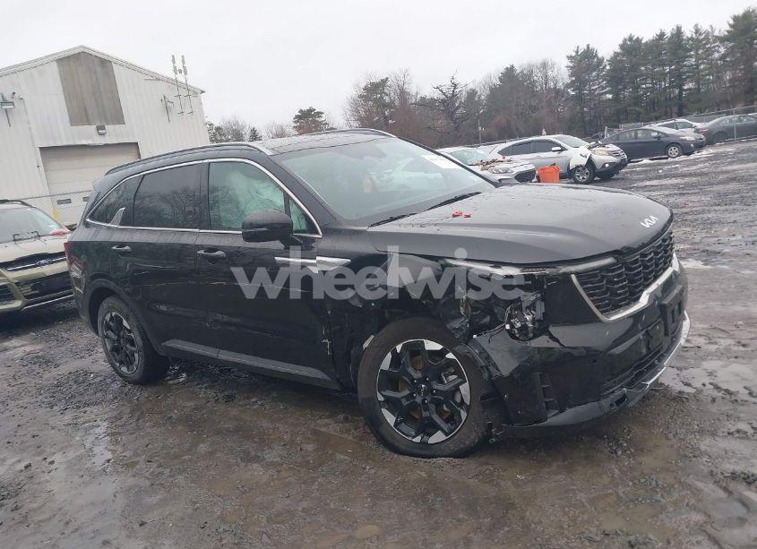 Photo 13 of 2024 Kia Sorento S (VIN 5XYRLDJC1RG275589)