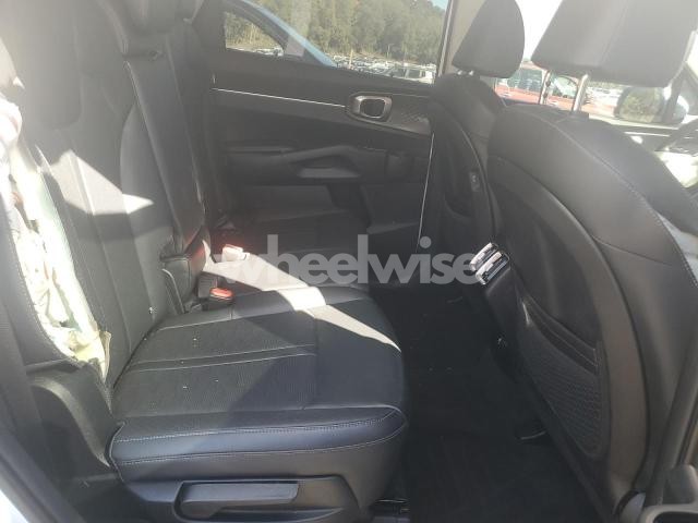Photo 12 of 2025 KIA SORENTO S (VIN 5XYRLDJC4SG326315)