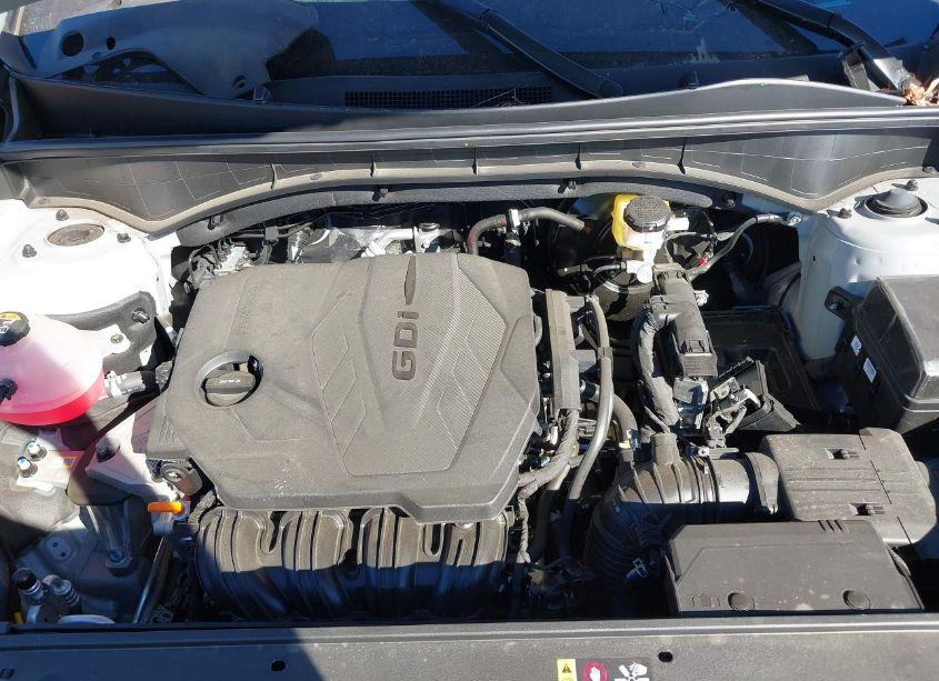 Photo 10 of 2024 Kia Sorento S (VIN 5XYRLDJC6RG293635)