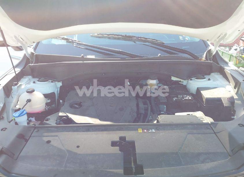 Photo 10 of 2024 Kia Sorento S (VIN 5XYRLDJC8RG283091)