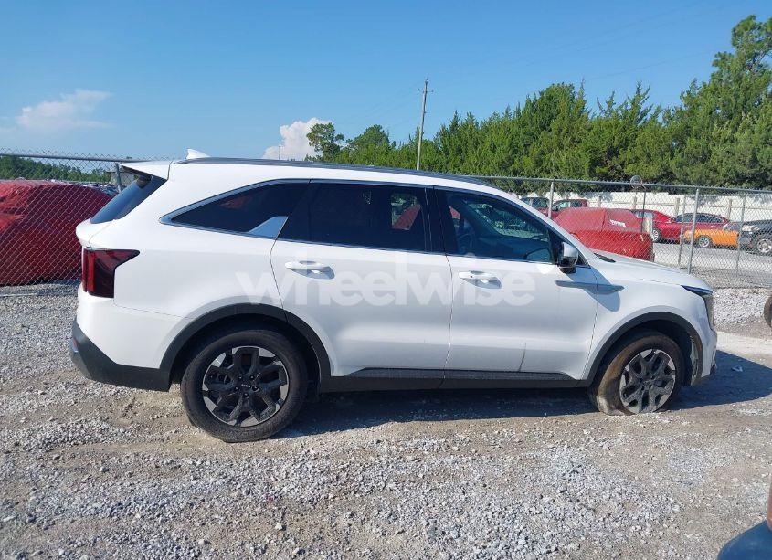 Photo 13 of 2024 Kia Sorento S (VIN 5XYRLDJC8RG283091)