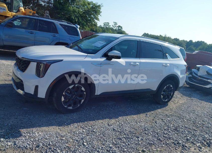 Photo 14 of 2024 Kia Sorento S (VIN 5XYRLDJC8RG283091)