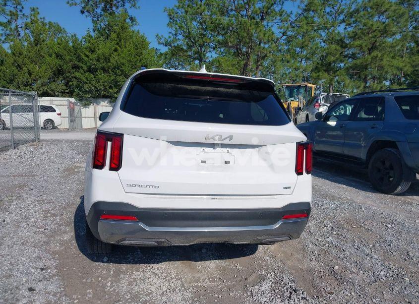 Photo 16 of 2024 Kia Sorento S (VIN 5XYRLDJC8RG283091)