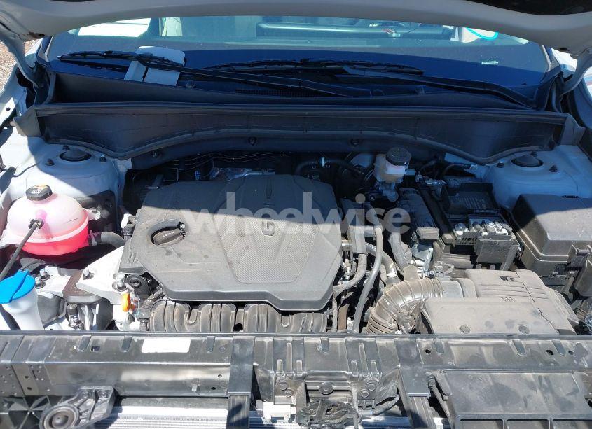 Photo 10 of 2024 Kia Sorento S (VIN 5XYRLDJC8RG293054)