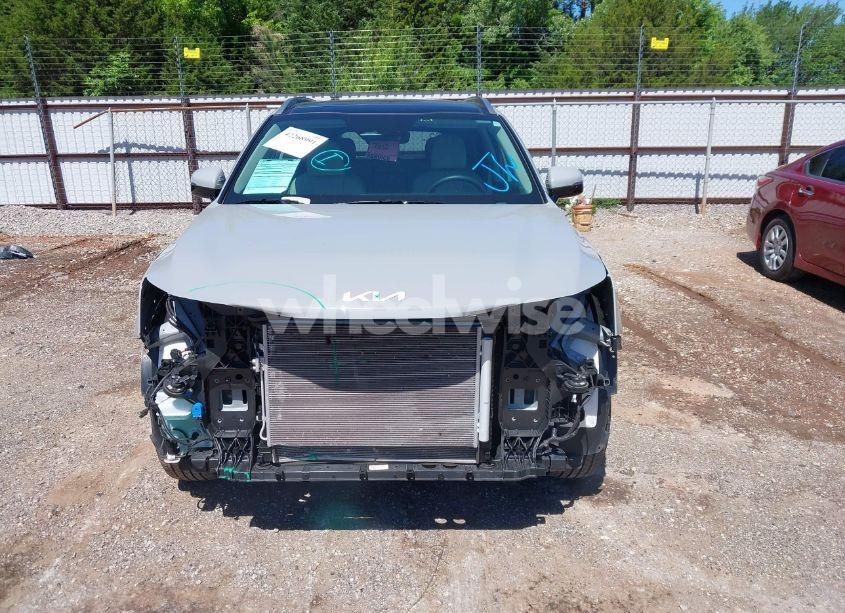 Photo 13 of 2024 Kia Sorento S (VIN 5XYRLDJC8RG293054)