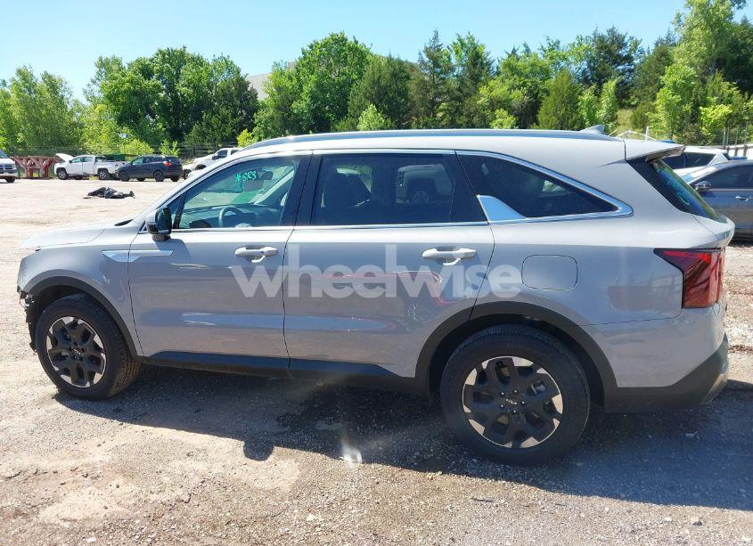 Photo 15 of 2024 Kia Sorento S (VIN 5XYRLDJC8RG293054)