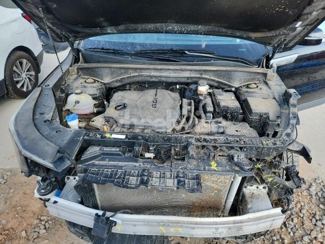 Photo 11 of 2024 KIA SORENTO S (VIN 5XYRLDJC9RG276411)