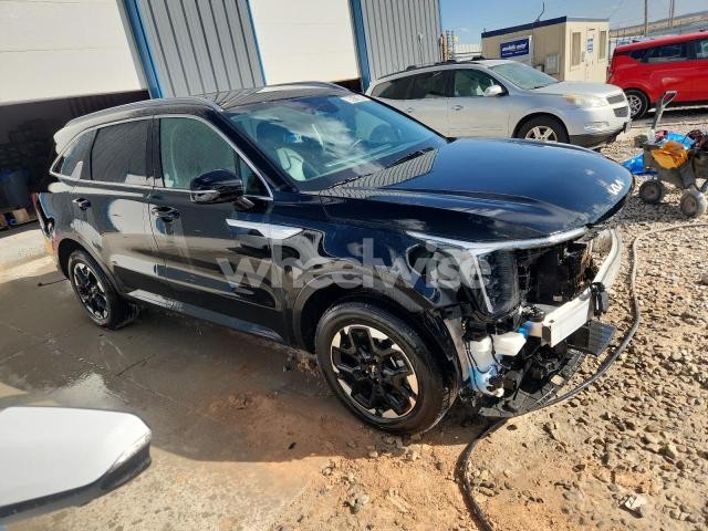 Photo 12 of 2024 KIA SORENTO S (VIN 5XYRLDJC9RG276411)