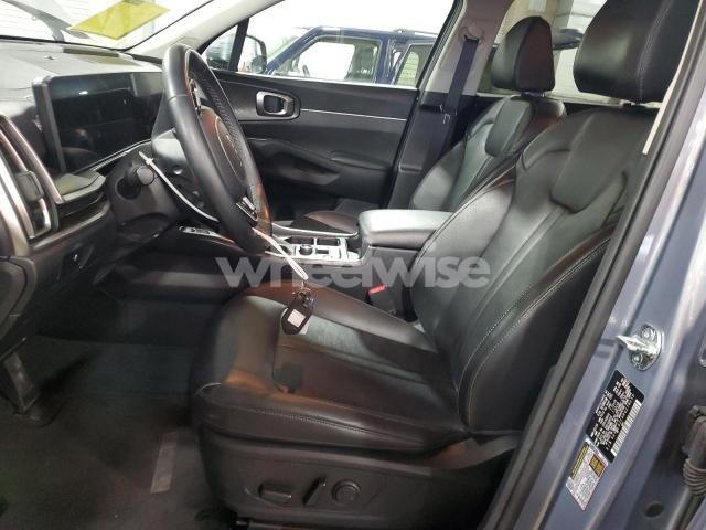 Photo 13 of 2024 KIA SORENTO S (VIN 5XYRLDJC9RG278255)