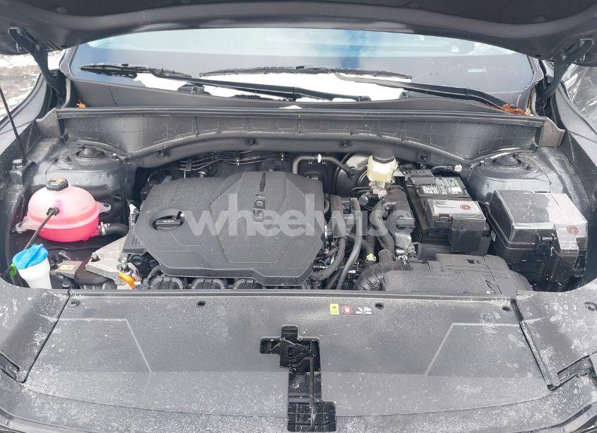 Photo 10 of 2025 Kia Sorento S (VIN 5XYRLDJCXSG319076)