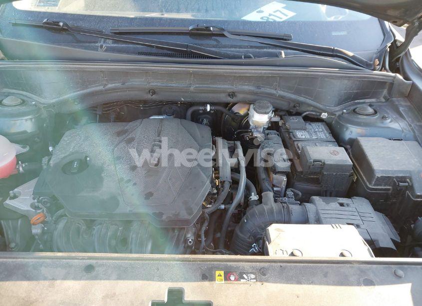 Photo 10 of 2023 Kia Sorento X-LINE S (VIN 5XYRLDLC4PG195407)