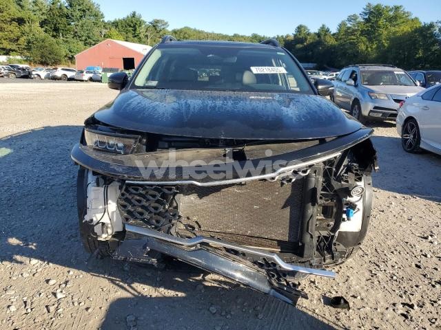 Photo 3 of 2023 KIA SORENTO S (VIN 5XYRLDLC5PG205703)