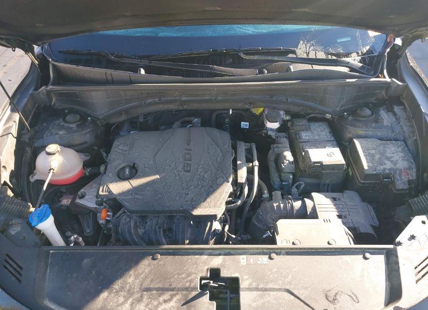 Photo 10 of 2023 Kia Sorento X-LINE S (VIN 5XYRLDLC6PG207105)