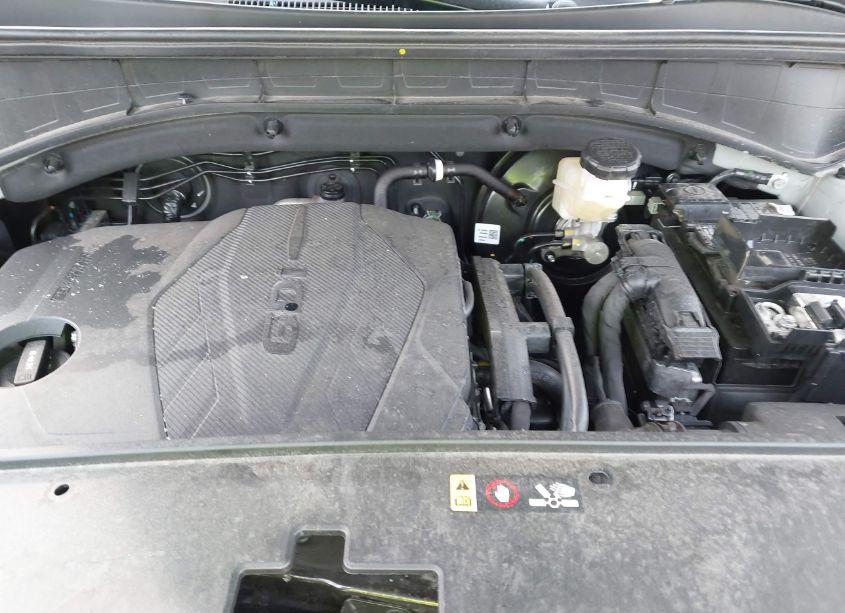 Photo 10 of 2023 Kia Sorento X-LINE S (VIN 5XYRLDLC6PG249368)