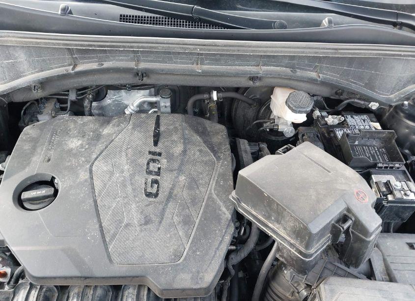 Photo 10 of 2022 Kia Sorento X-LINE S (VIN 5XYRLDLC7NG085738)