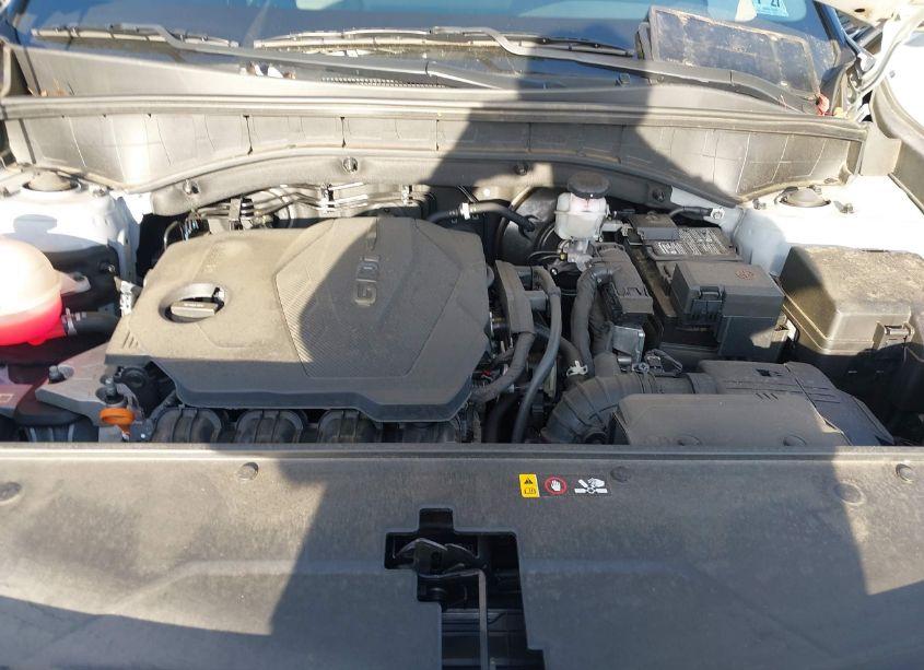 Photo 10 of 2022 Kia Sorento X-LINE S (VIN 5XYRLDLC7NG131052)