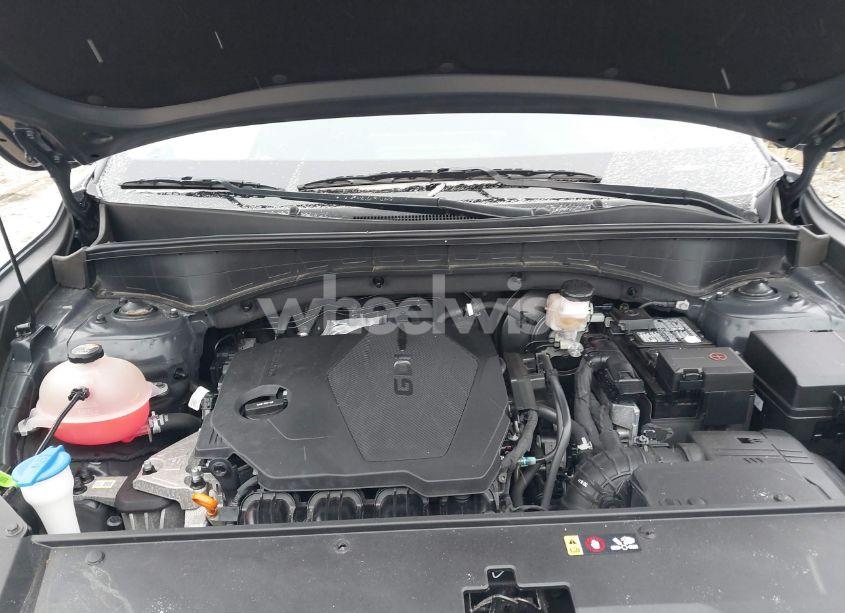 Photo 10 of 2022 Kia Sorento X-LINE S (VIN 5XYRLDLC9NG080525)