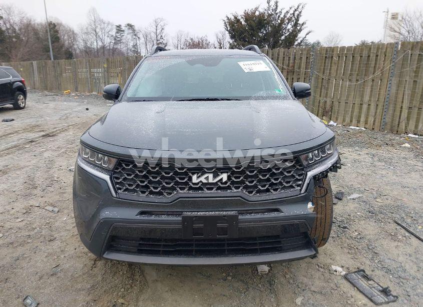 Photo 12 of 2022 Kia Sorento X-LINE S (VIN 5XYRLDLC9NG080525)