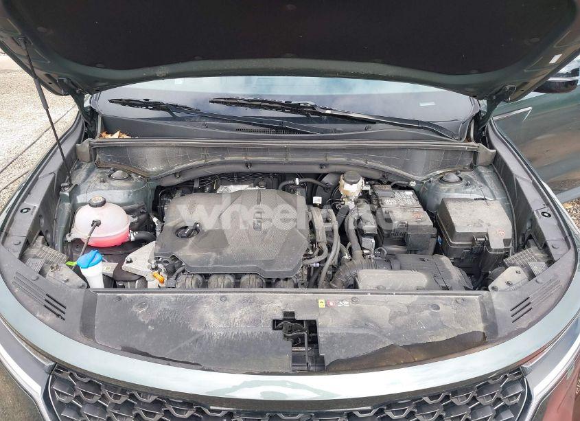 Photo 10 of 2023 Kia Sorento X-LINE S (VIN 5XYRLDLC9PG230491)