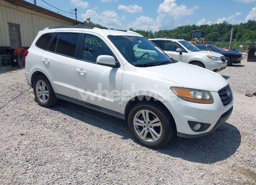 2011 Hyundai Santa FE SE (VIN 5XYZHDAG0BG029644) main photo