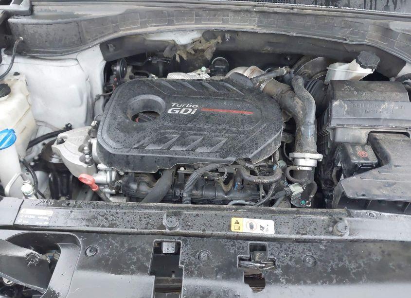 Photo 10 of 2017 Hyundai Santa FE SPORT 2.0T ULTIMATE (VIN 5XYZW4LA2HG460154)