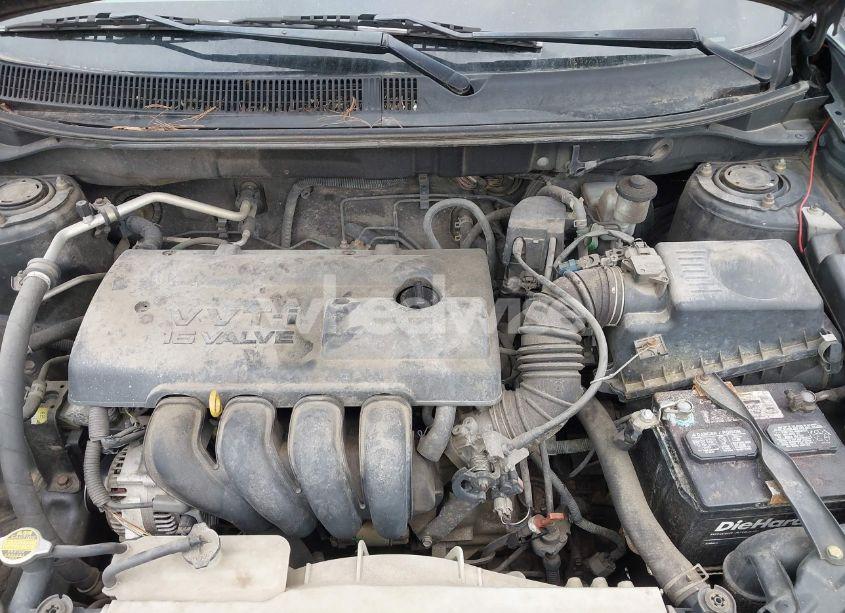 Photo 10 of 2004 Pontiac Vibe (VIN 5Y2SL62844Z450094)