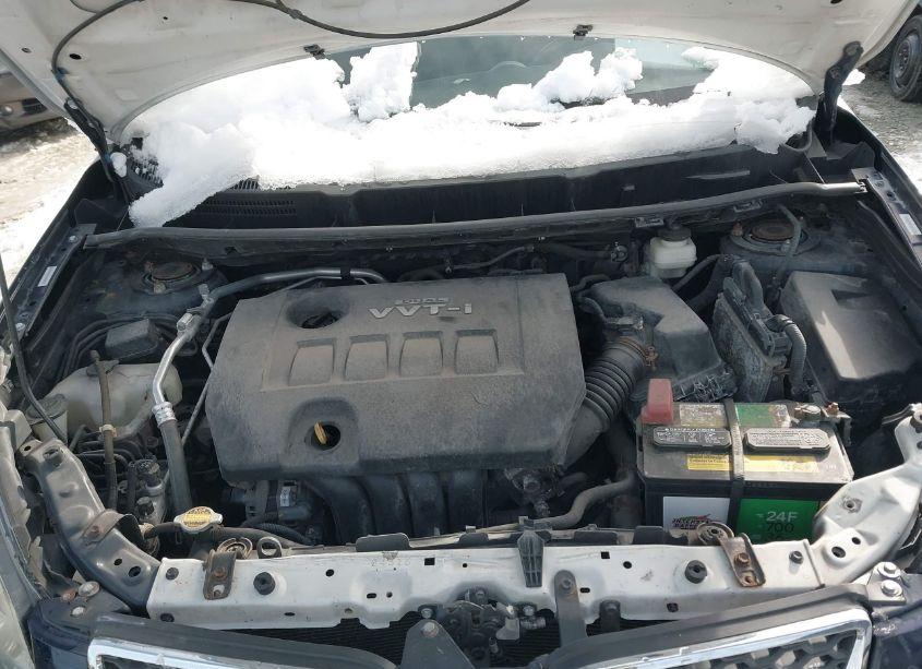 Photo 10 of 2009 Pontiac Vibe (VIN 5Y2SP67809Z461498)