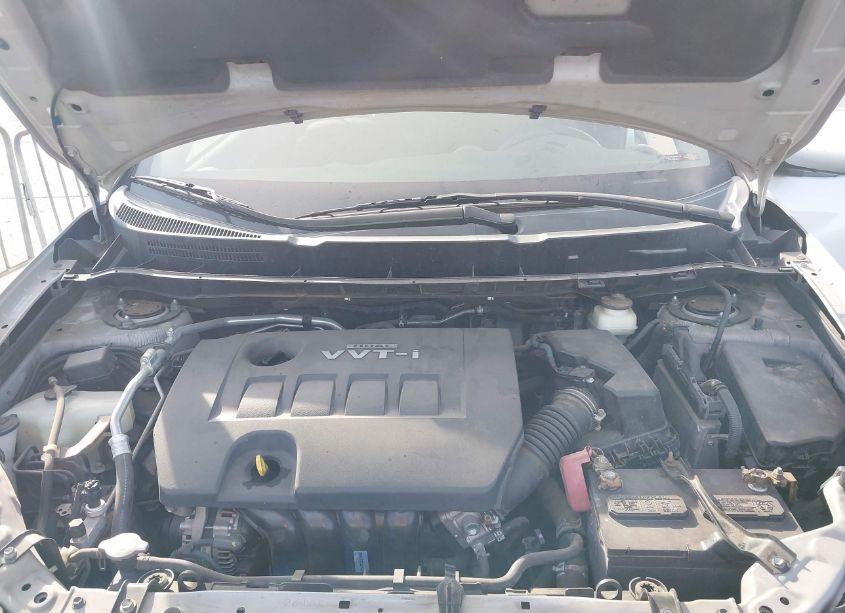 Photo 10 of 2009 Pontiac Vibe (VIN 5Y2SP67849Z408514)