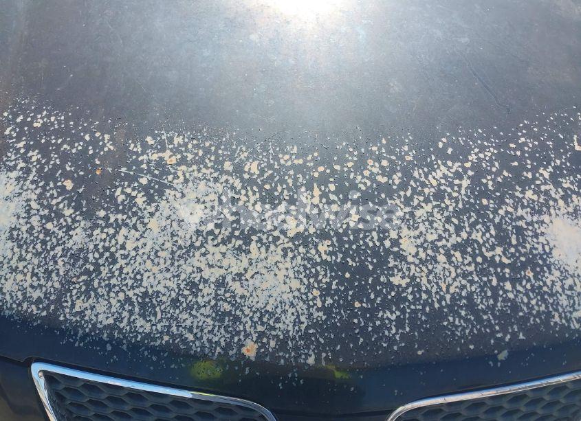 Photo 13 of 2009 Pontiac Vibe GT (VIN 5Y2SR67009Z478435)